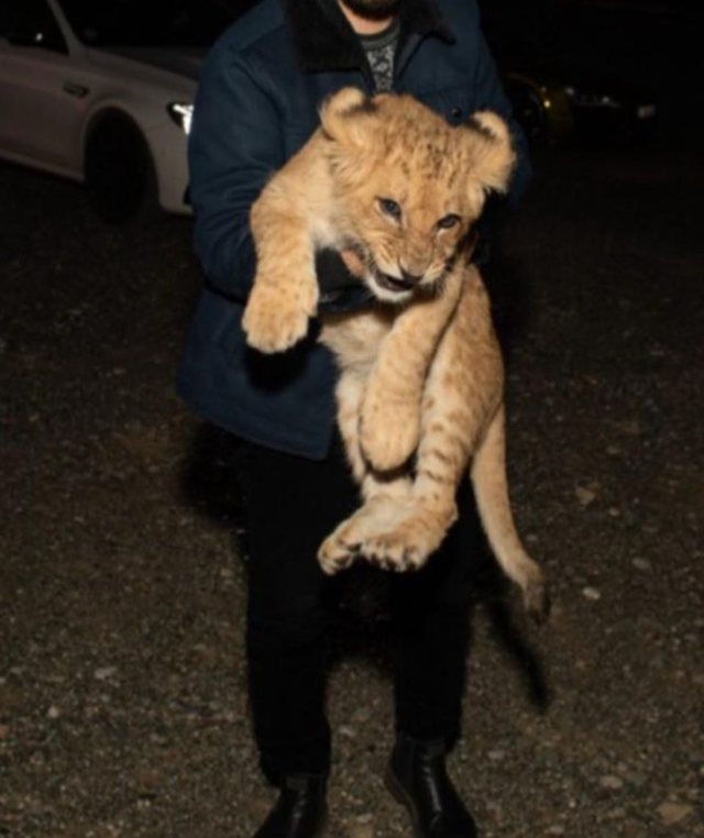 Del foto, ky është luani i famshëm i Ervis Martinaj për të cilin po flasin të gjithë